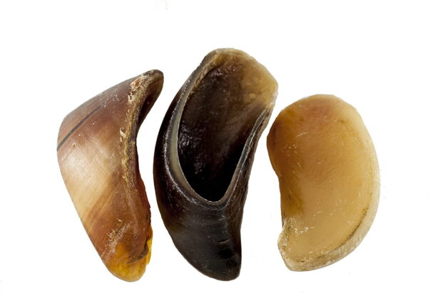 Brown's Natural Dog Chew | Buffalo HOOVES – BROWNS PET RANGE - Image 3