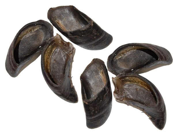Brown's Natural Dog Chew | Buffalo HOOVES – BROWNS PET RANGE - Image 4