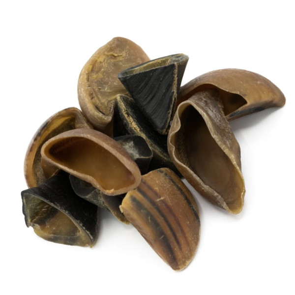 Brown's Natural Dog Chew | Buffalo HOOVES – BROWNS PET RANGE - Image 2