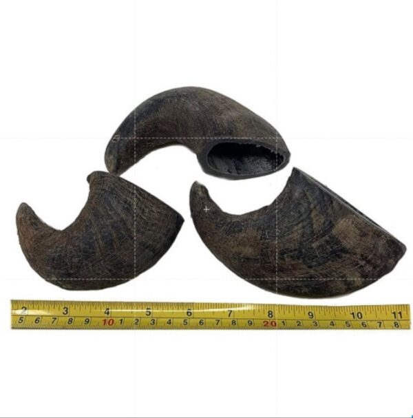 Buffalo Pet Food Chew Horn