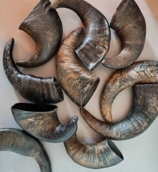 Buffalo Horn Dog Chews - Image 3