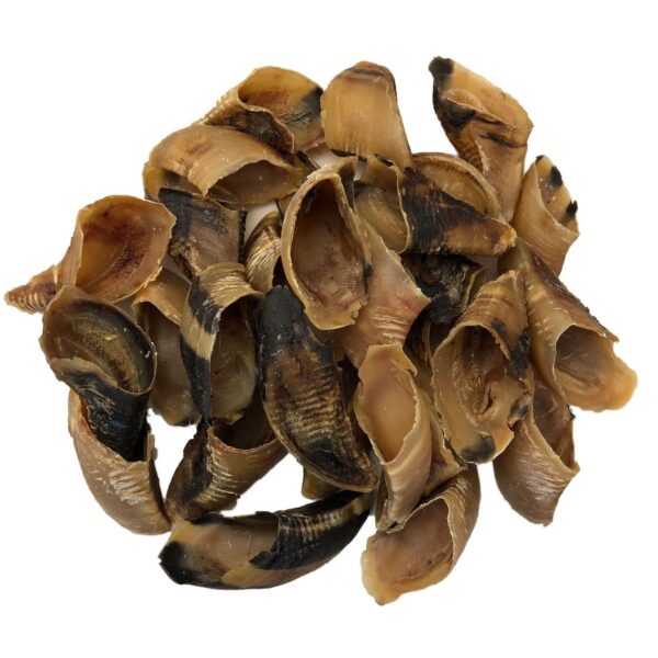 Brown's Natural Dog Chew | Buffalo HOOVES – BROWNS PET RANGE